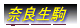 ���{�X