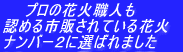 @@v̉ԉΐEl F߂ŝĂԉ io[1ɑI΂܂