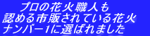 @@v̉ԉΐEl F߂ŝĂԉ io[1ɑI΂܂